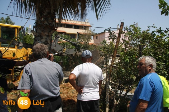 hadmqobtan423zoher (39).JPG